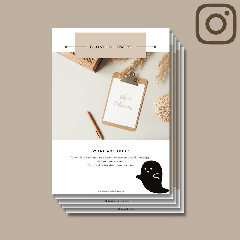 Instagram Algorithm Guide - bitesandtickles