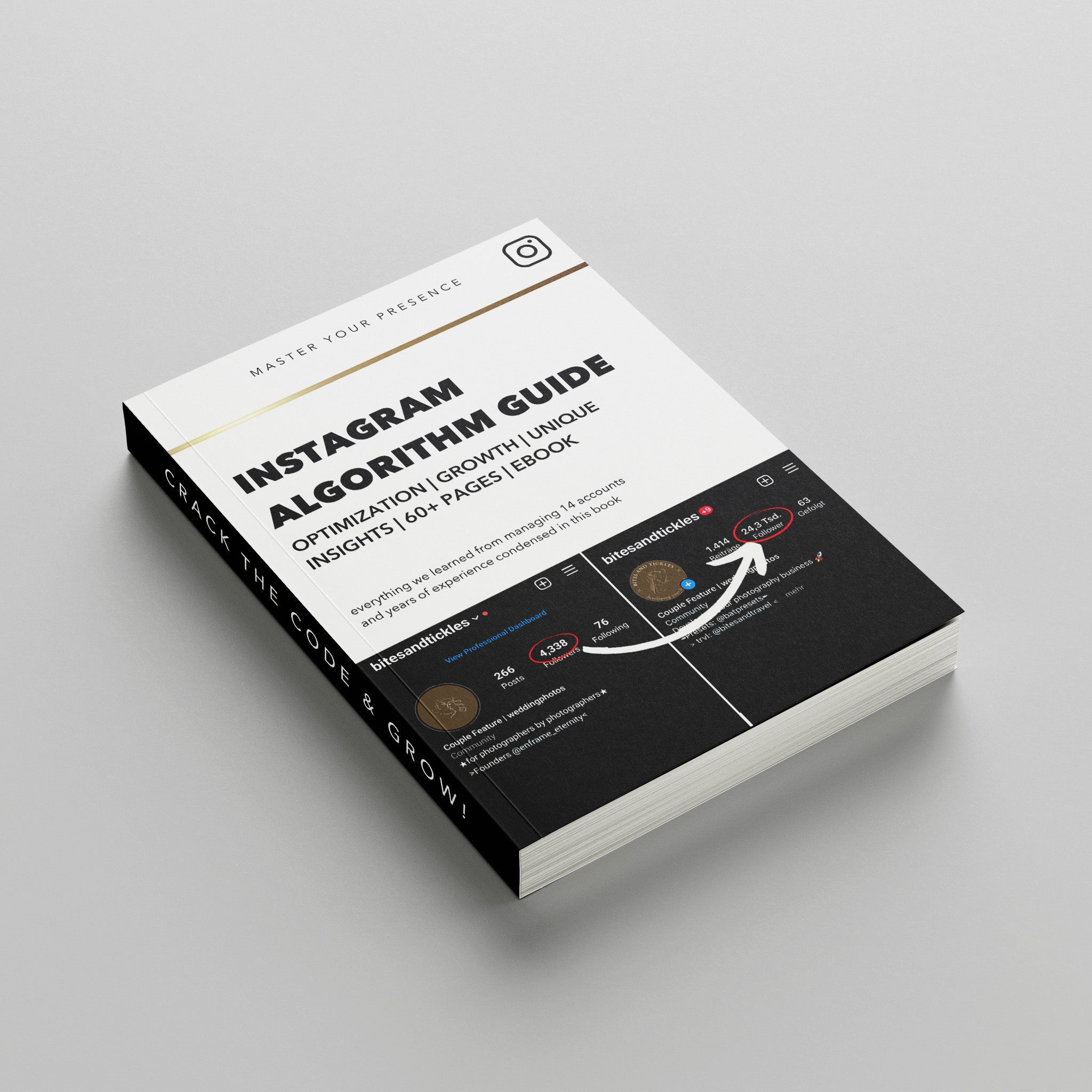 Instagram Algorithm Guide (Ebook - digital!) - bitesandtickles